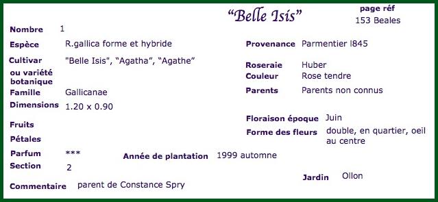 belis