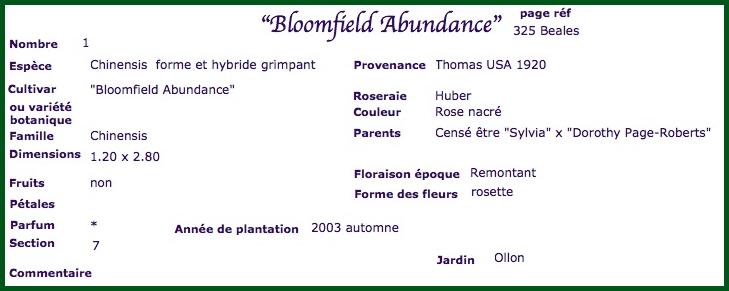 bloom1