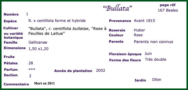 bu2