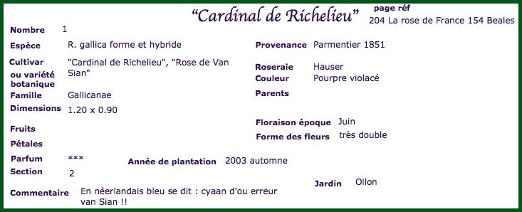 card