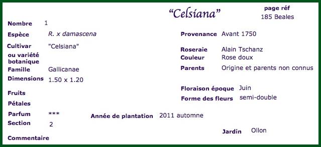 cel