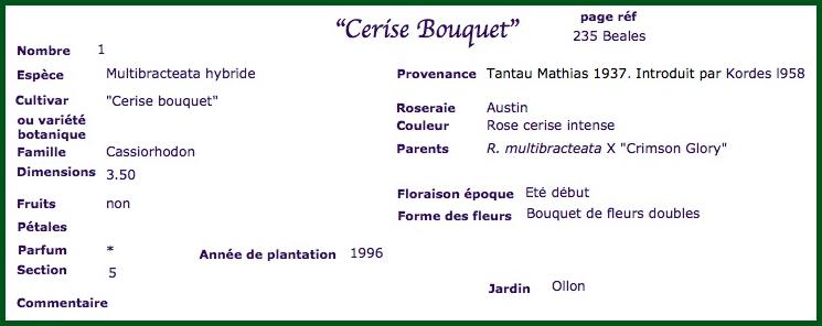 cer