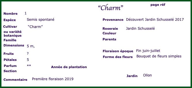 charm