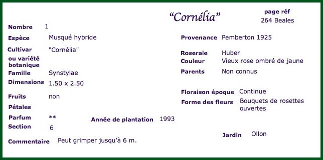 cor1
