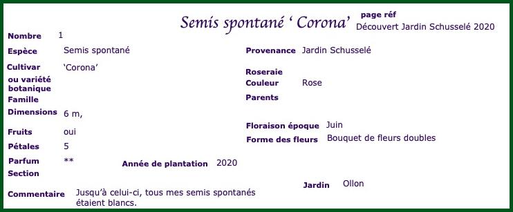 coro1