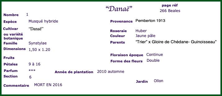 DAN2