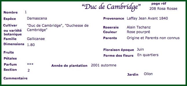 duc