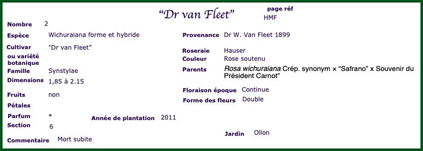 dvf