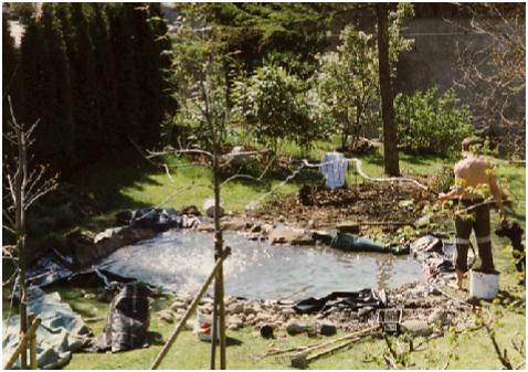 Etang1997