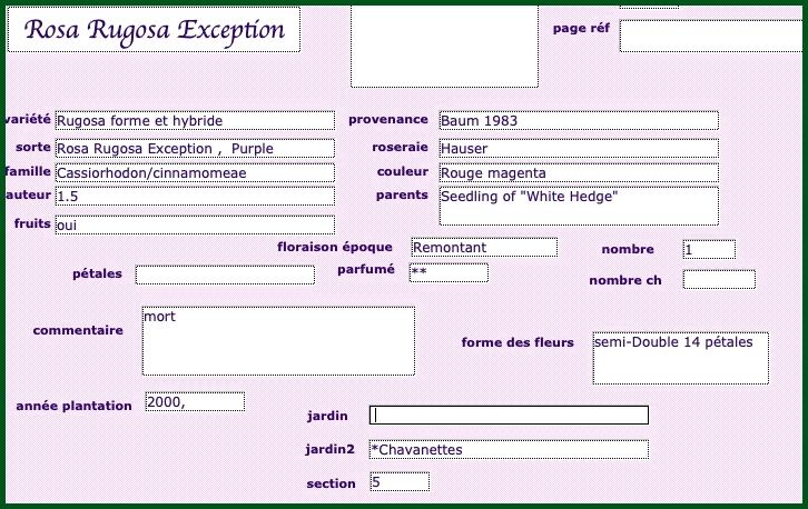 exce