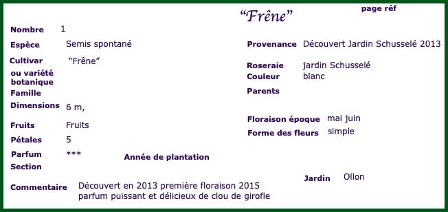 frene