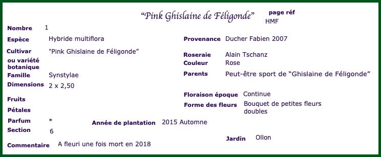 gfr2