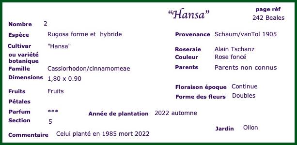 Hansa1