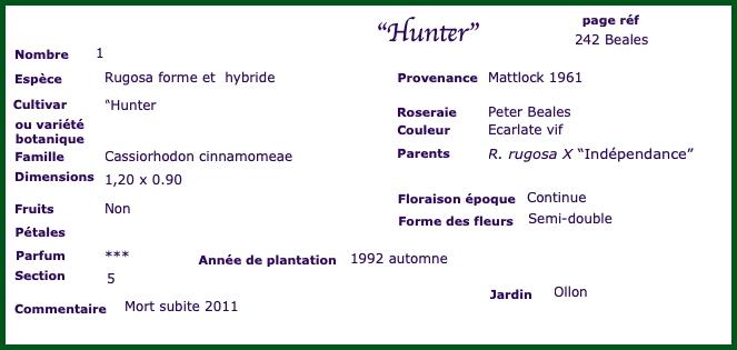 hunt