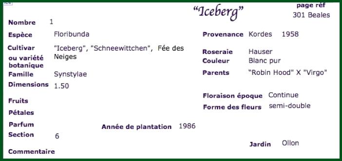 icebe