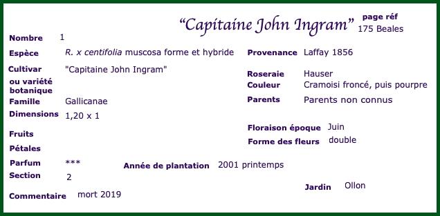 john