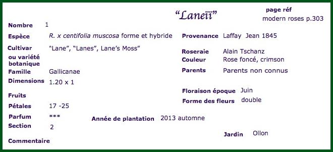 lan