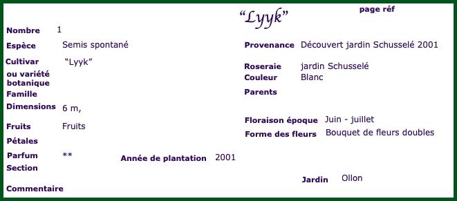 Lyyk
