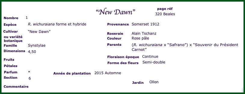 newd