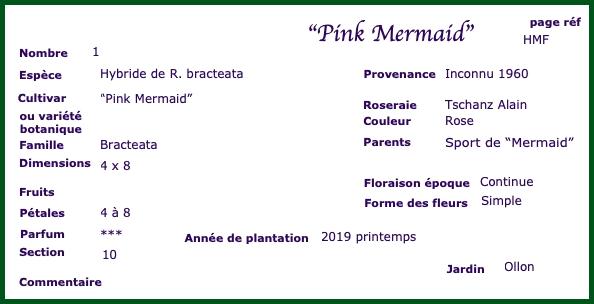 PinkMermaid