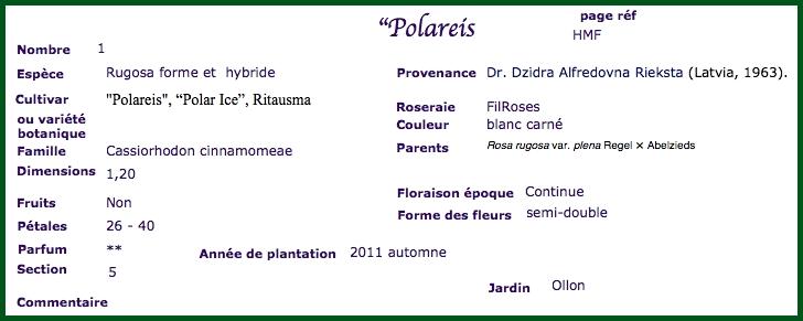 pola