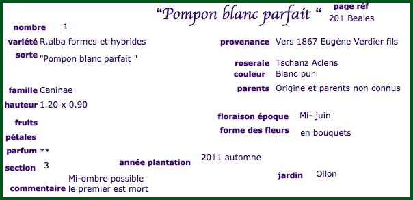 pomponblanc