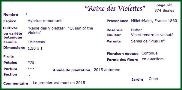 rdv