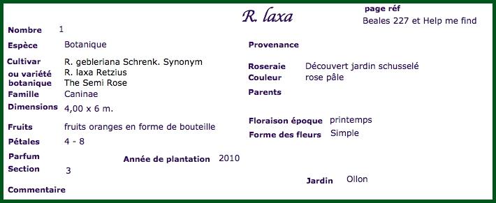 Rlax