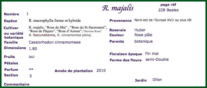 rmaj