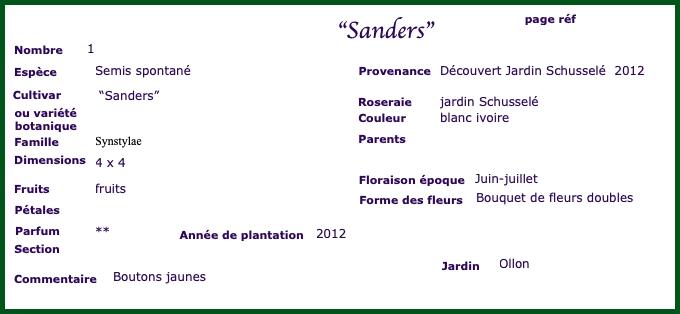 sanders