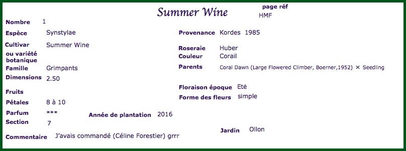 Summerwine