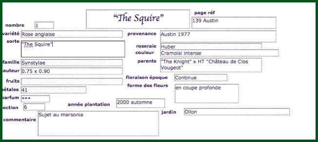 thesquire