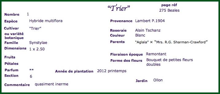 tr1