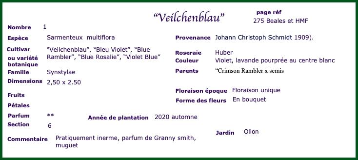 veilchen