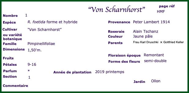 VonScharnhorst