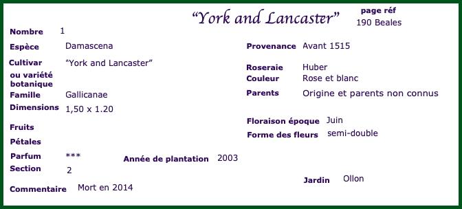 yor2